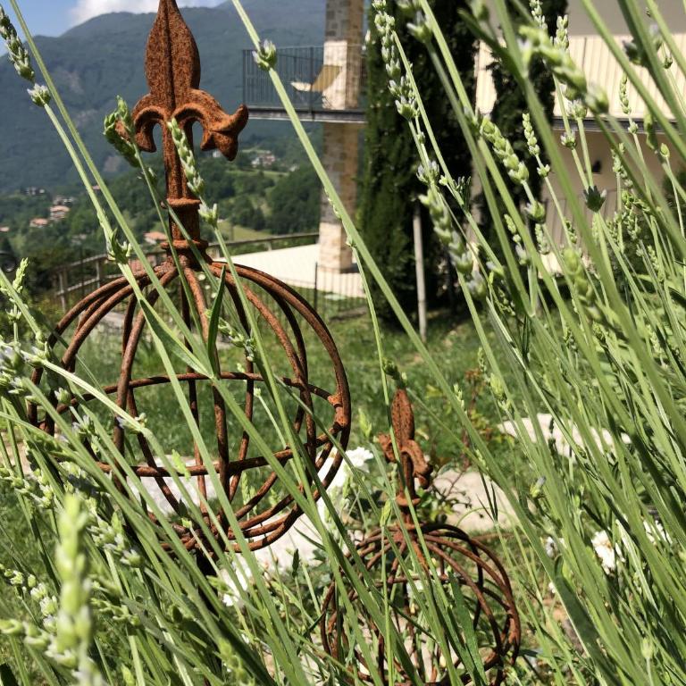 BnB Borgo le Vigne - L'Uva rara Only Adults - Appartamento Deluxe con 2 Camere da Letto e Vista Giardino - 17