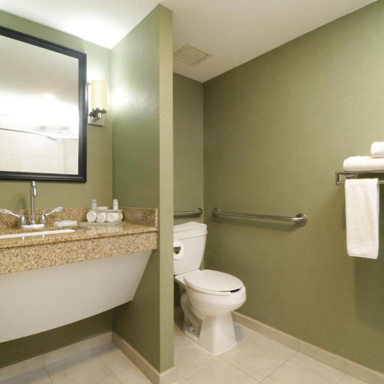 Holiday Inn Express & Suites Monterrey Aeropuerto by IHG - Standard King Room - Accessible - 5