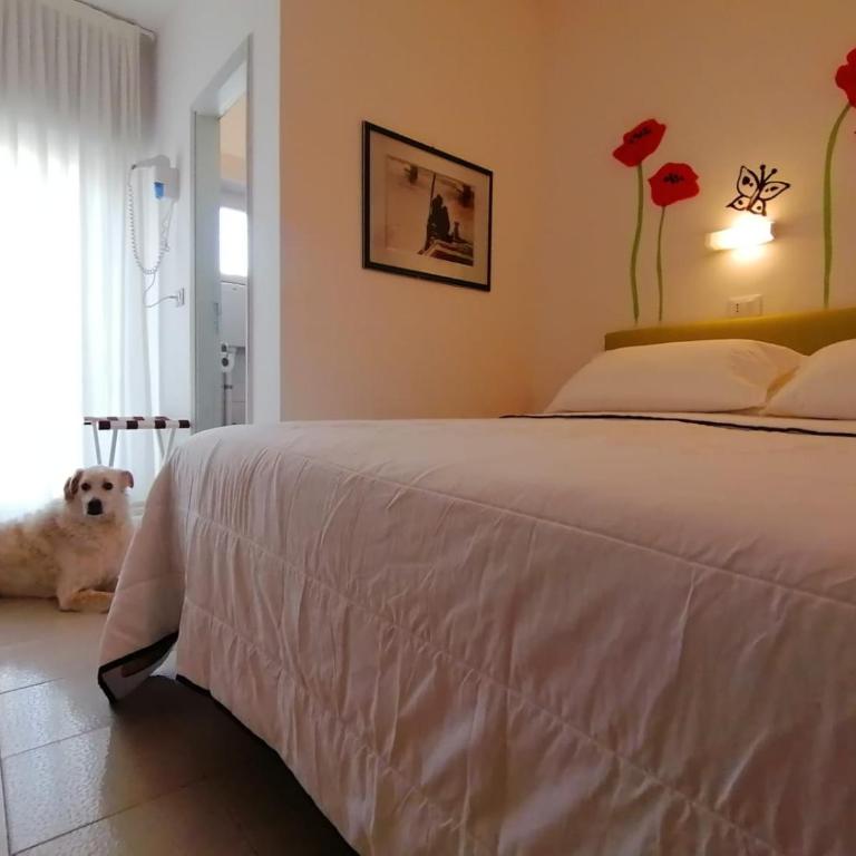 Kristalex Pet Friends Hotel - Camera Quadrupla - 3