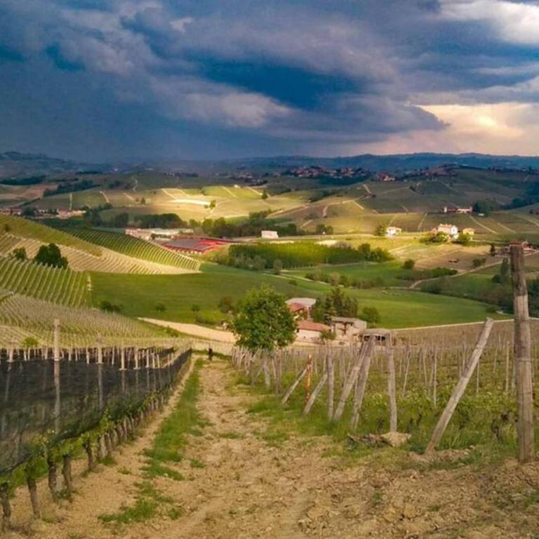 Ex Ostu Impero: vino, tartufo ed ospitalità - Appartamento con 1 Camera da Letto - 34