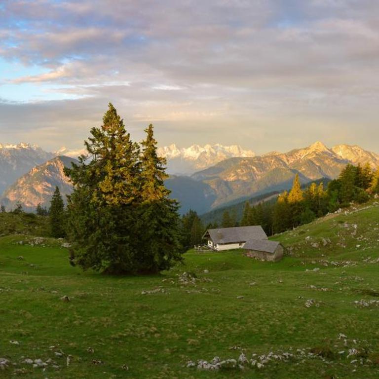 Chalet Harmonie - Apartment - 38