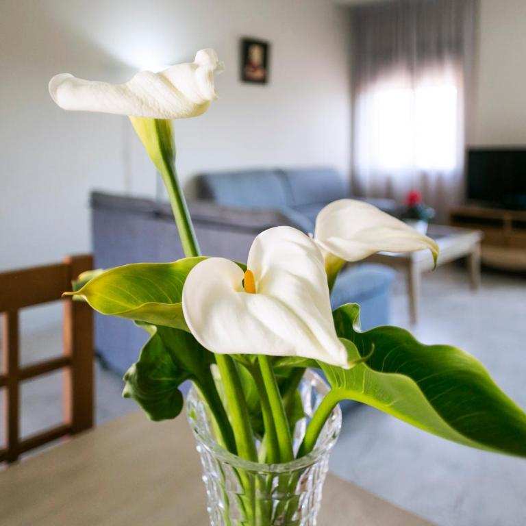 Apartamentos Turísticos La Castilleja - Estudio - 2
