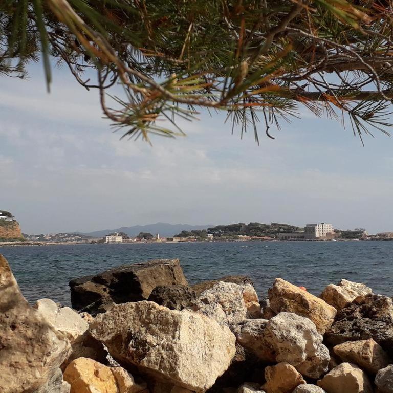 T2 Bandol idéal vacances 2 étoiles - Appartamento con 1 Camera da Letto - 15
