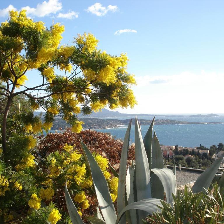 T2 Bandol idéal vacances 2 étoiles - Appartamento con 1 Camera da Letto - 11