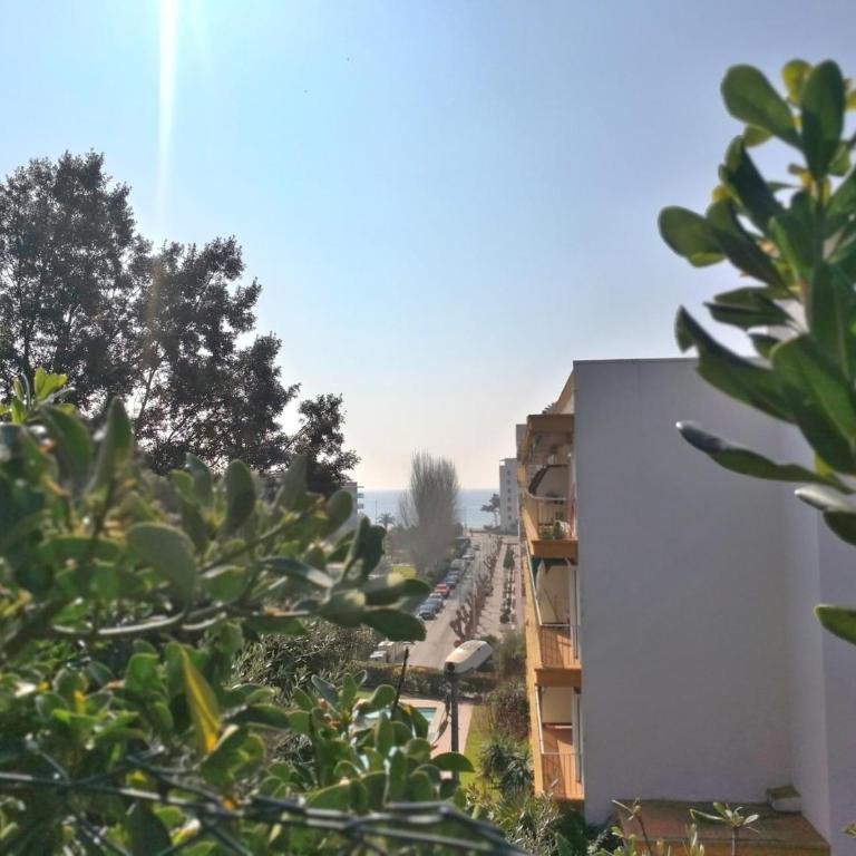 AL14 Estudio a 250 m playa Fenals, Costa Barava - Apartamento de 1 dormitorio - 21