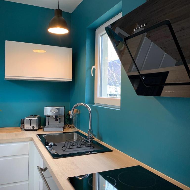 Appartement Meylan île amour - Appartement 1 Chambre - 7