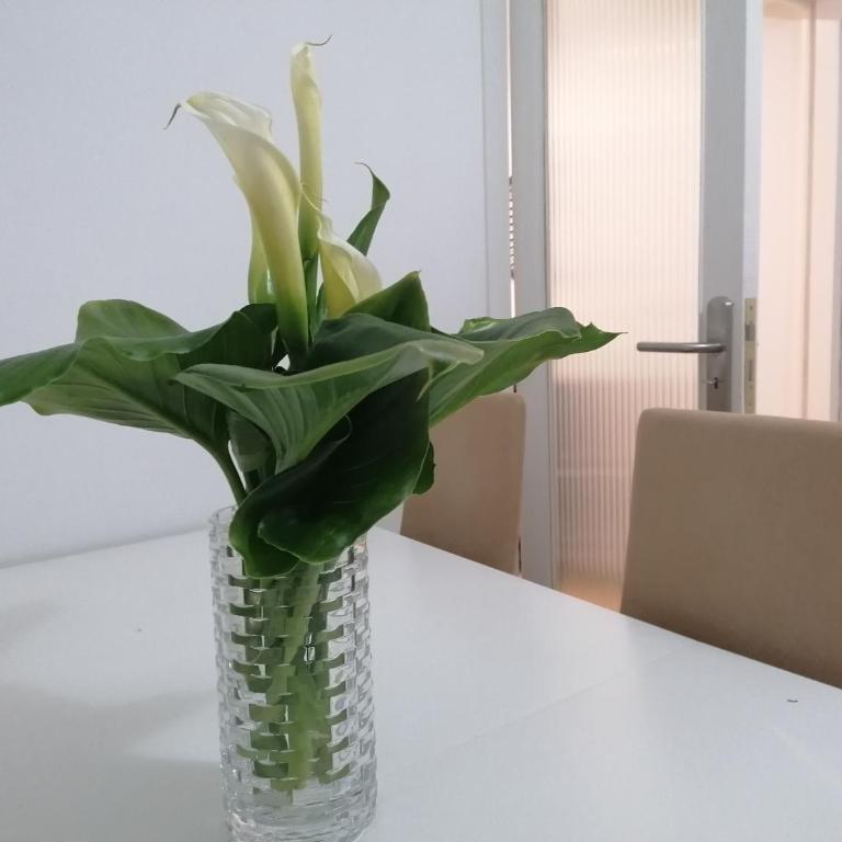 APARTAMENTO BOLBORETA - Apartamento de 3 dormitorios - 10