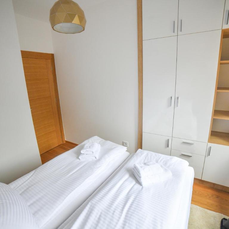 Vila Elsa Apartmani Kosta Todorovic - Apartman sa 2 Spavaće Sobe - 28