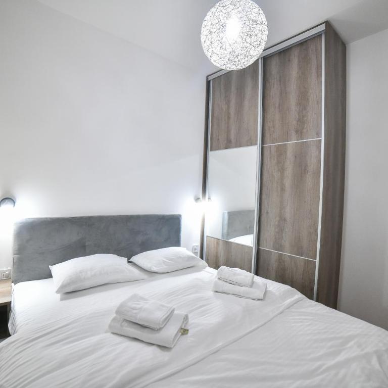 Vila Elsa Apartmani Kosta Todorovic - Apartman sa 2 Spavaće Sobe - 29