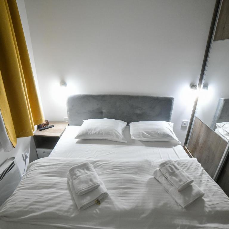 Vila Elsa Apartmani Kosta Todorovic - Apartman sa 2 Spavaće Sobe - 52