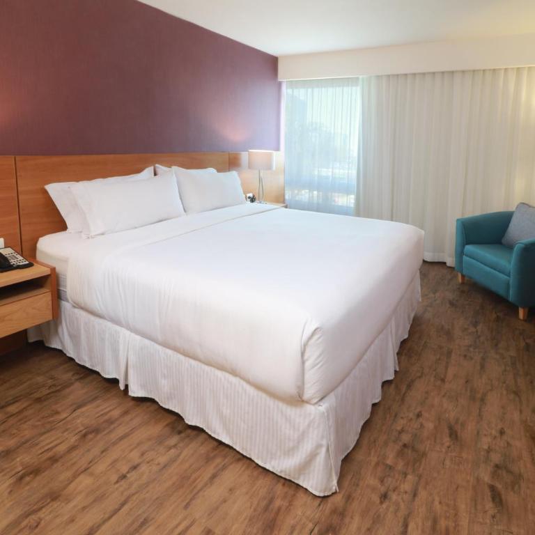 Staybridge Suites Guadalajara Expo by IHG - Suite de 1 dormitorio con sofá cama - Cama extragrande - 9
