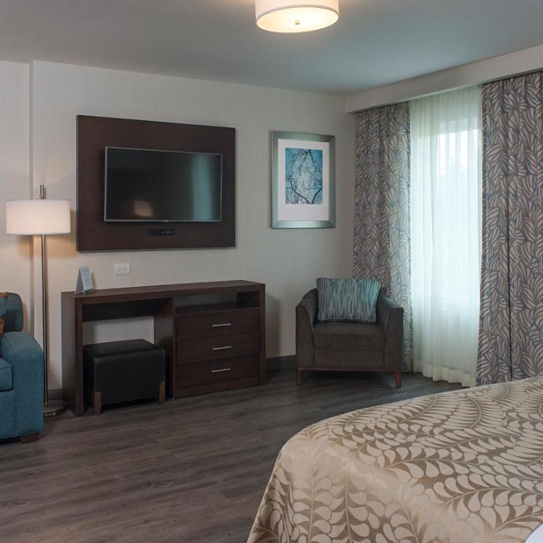 Staybridge Suites Puebla by IHG - Suite Estudio adaptado para personas con discapacidad - 1 cama grande - 7
