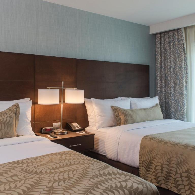Staybridge Suites Puebla by IHG - Suite de 1 dormitorio con vistas a la piscina - 9