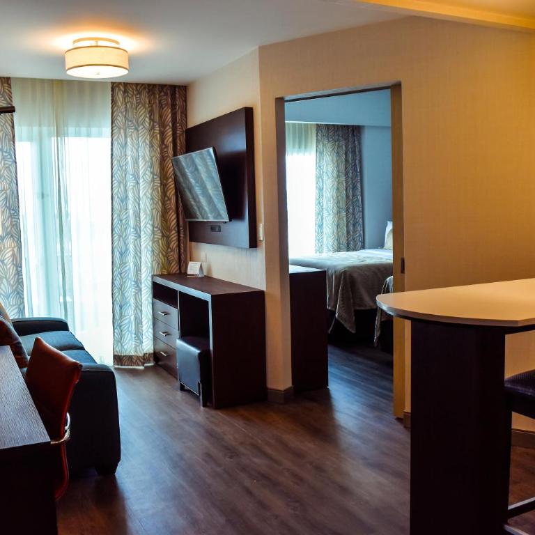 Staybridge Suites Puebla by IHG - Suite de 1 dormitorio con vistas a la piscina - 6