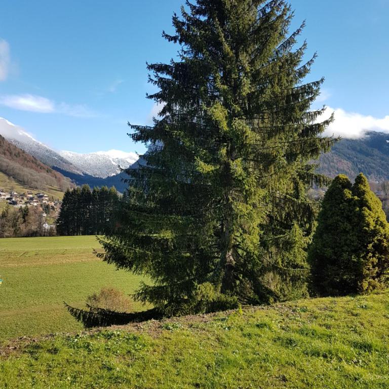 Au calme face au grand paysage - Appartement 1 Chambre - 24