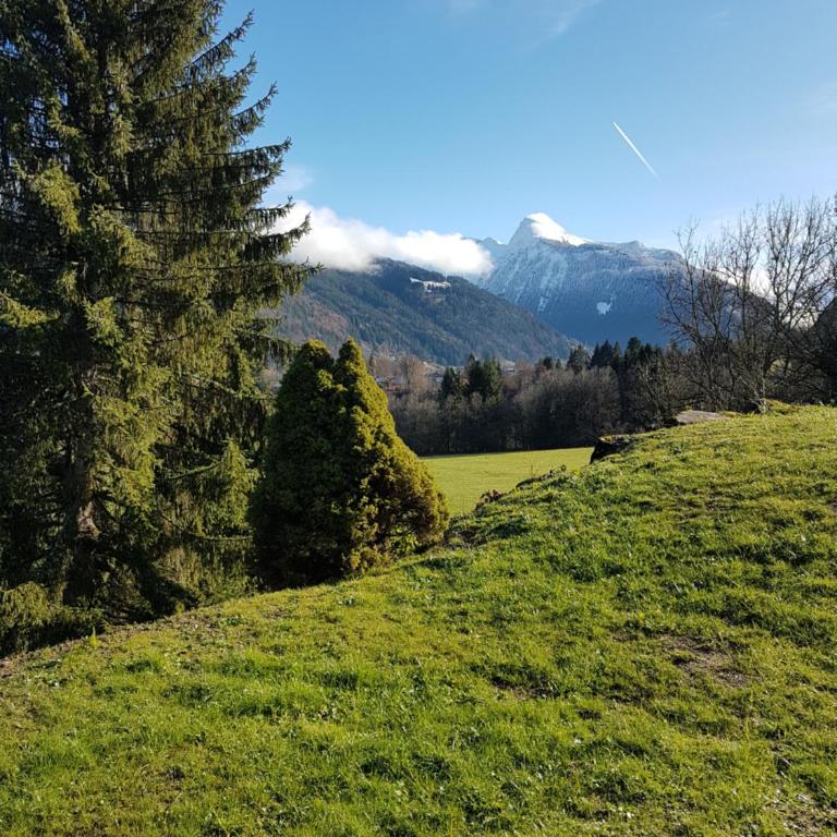 Au calme face au grand paysage - Appartement 1 Chambre - 25