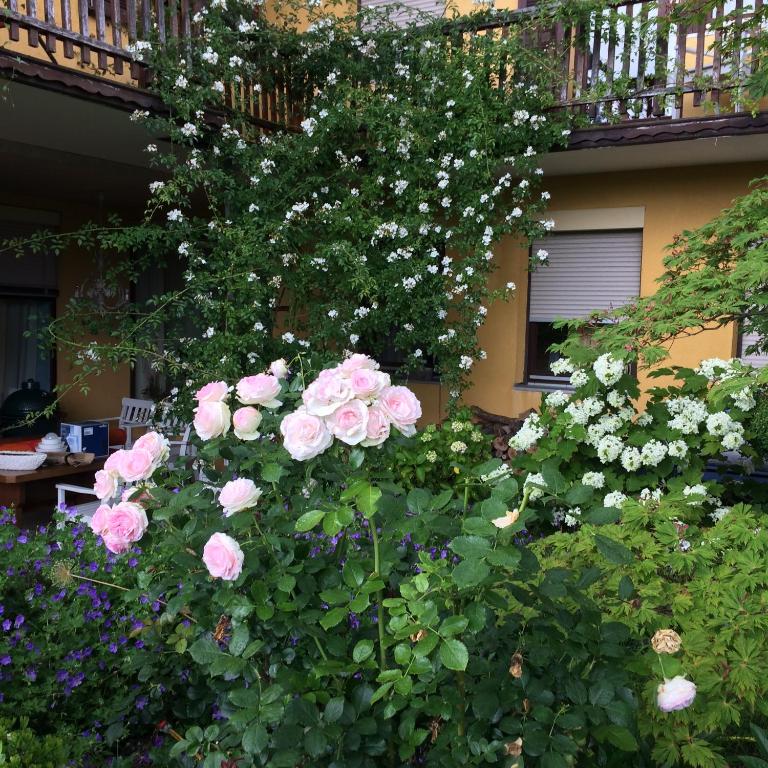 Landhaus GRETE Ferienwohnungen - Studio mit Balkon - 17