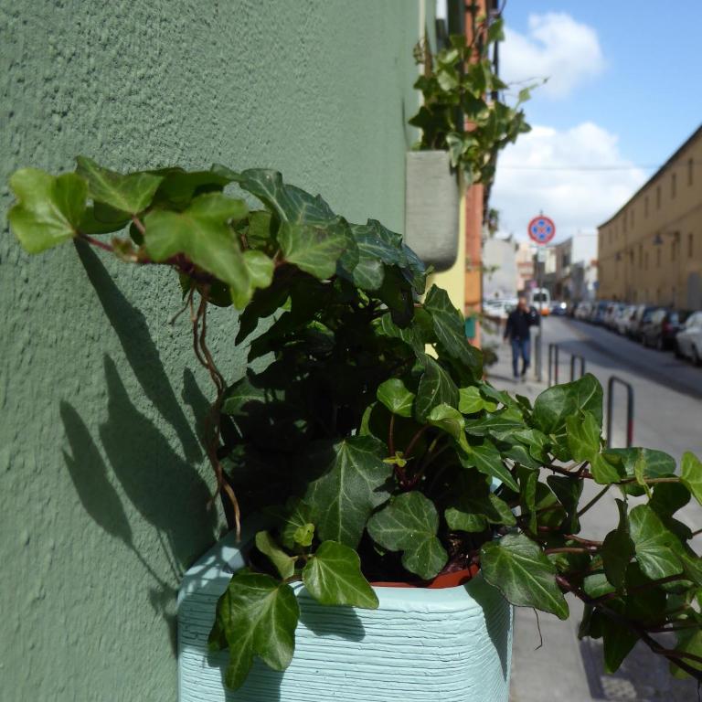 I Giganti - Apartment - 16