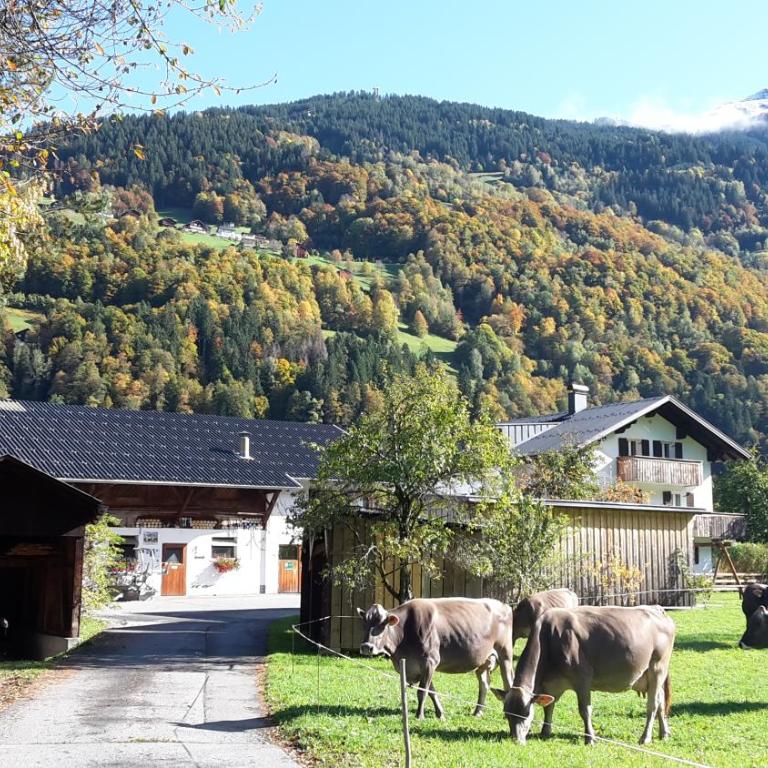 Hof im Feld - Appartamento con 3 Camere da Letto - 26