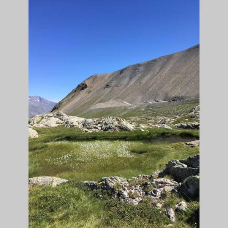 Appartement cosy Deux Alpes front de neige 34m2 6p - Appartement 2 Chambres - 29