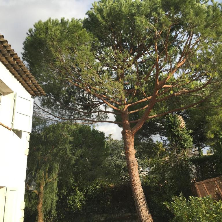 Villa Alessia - Suite 2 Chambres - 31