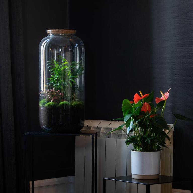 Maison Tillot - Apartment Gustave - 7