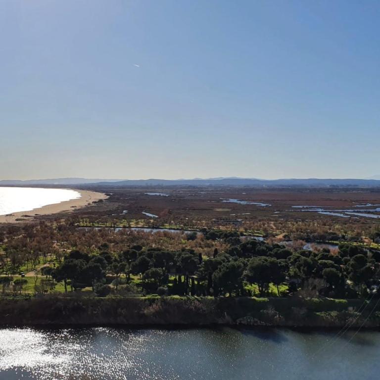 Les couchers de soleil à Empuriabrava - Apartamento de 1 dormitorio - 16