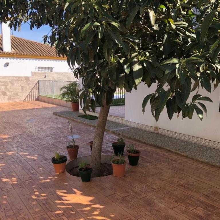 Casas Juani- chalet con piscina - Casa de 2 dormitorios - 10