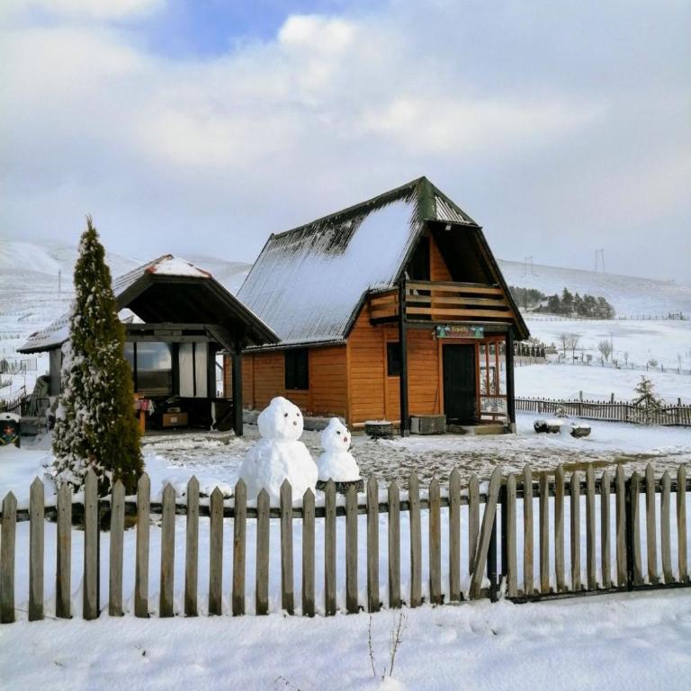 Brvnara Zlatiborka - Apartman sa 2 Spavaće Sobe - 8
