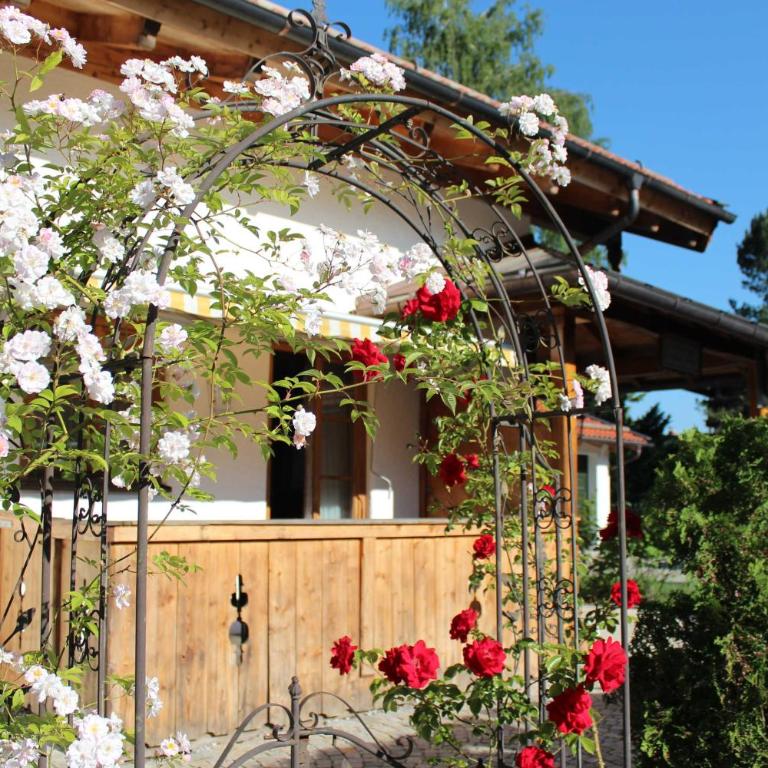 Appartementhaus Schirsner - direkt am See & am Kurpark - Apartment mit Terrasse - 12