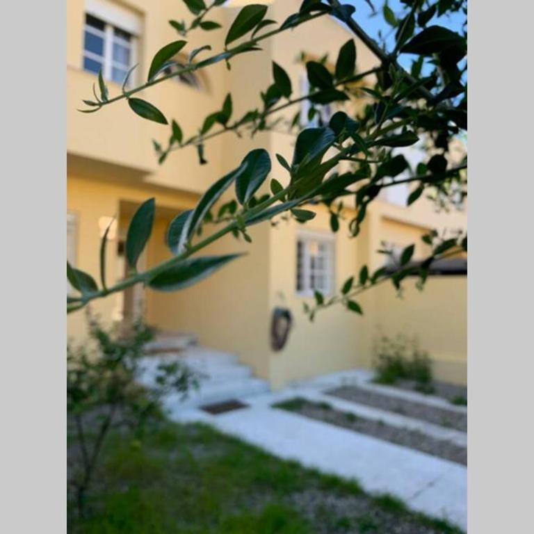 VIVE JEREZ Casa de lujo con piscina y barbacoa en la mejor zona de Jerez de la Frontera - Casa de 5 dormitorios - 12