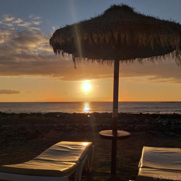Laderas del Palmar - Apartamento de 1 dormitorio - 43