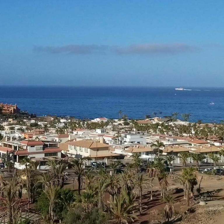 Laderas del Palmar - Apartamento de 1 dormitorio - 33