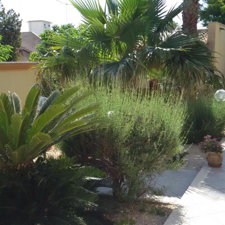 Sara Relax Home - Casa Vacanze - 4