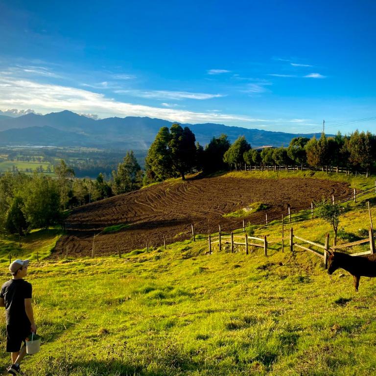 Finca Agrreste - Chalet - 19