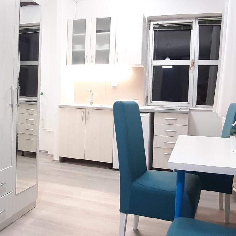 Sarajevska Studio & Apartment - Studio sa Bračnim Krevetom (King-size) - 5