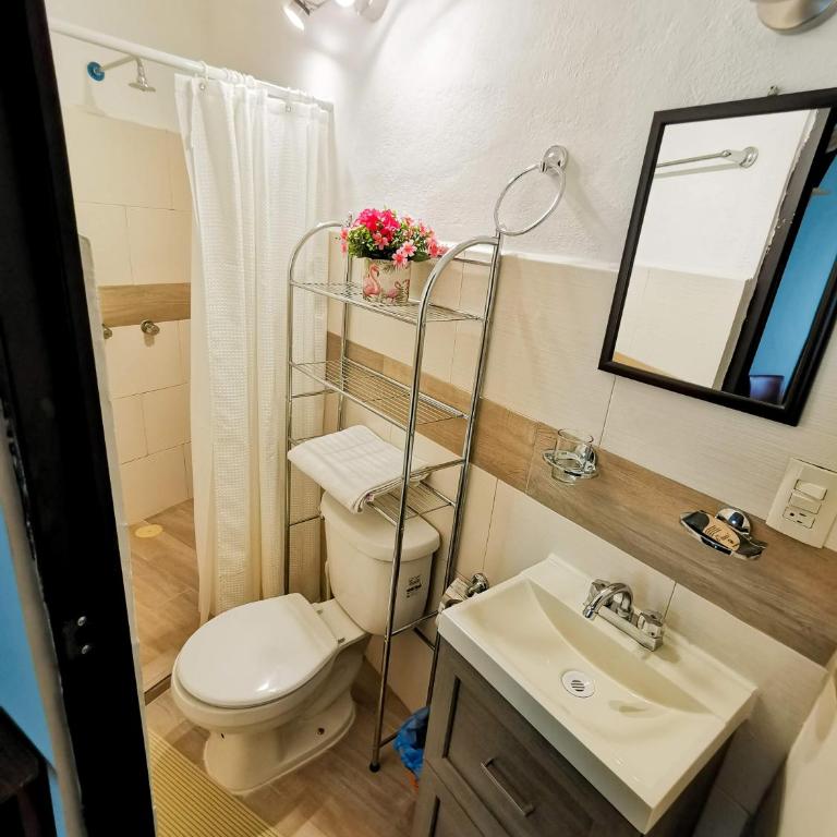Posada Bugambilia - Apartment - Ground Floor - 8