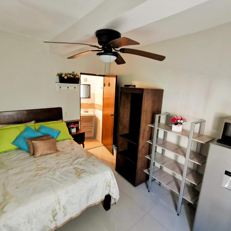 Posada Bugambilia - Apartment - Ground Floor - 5
