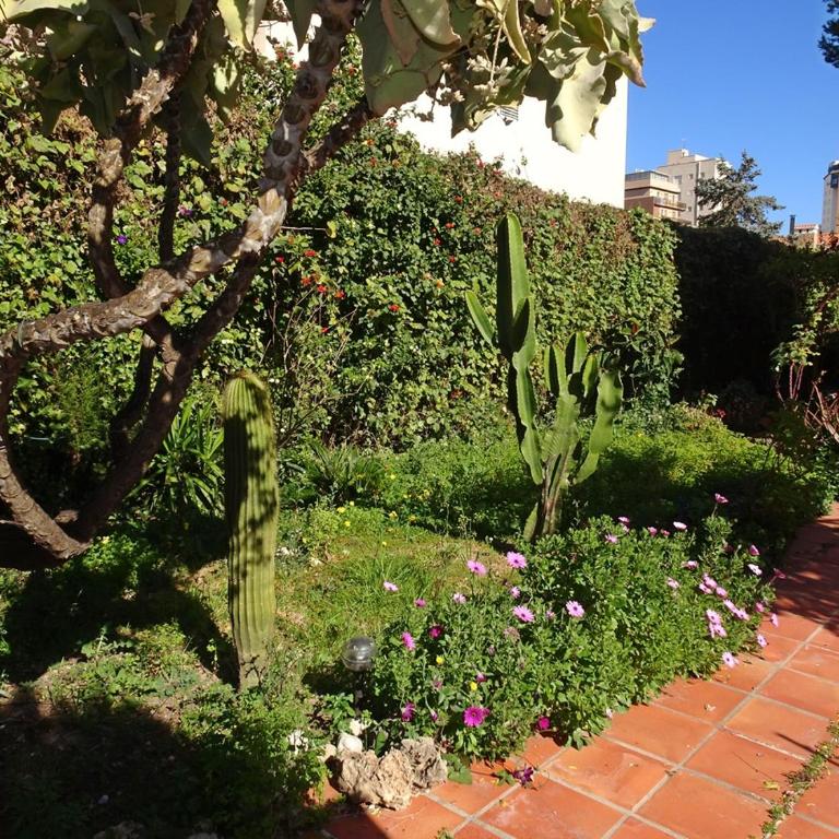 VILLA DEL DUQUE, GANDIA - ( Alquielr solo Familias ) - Five-Bedroom House - 19