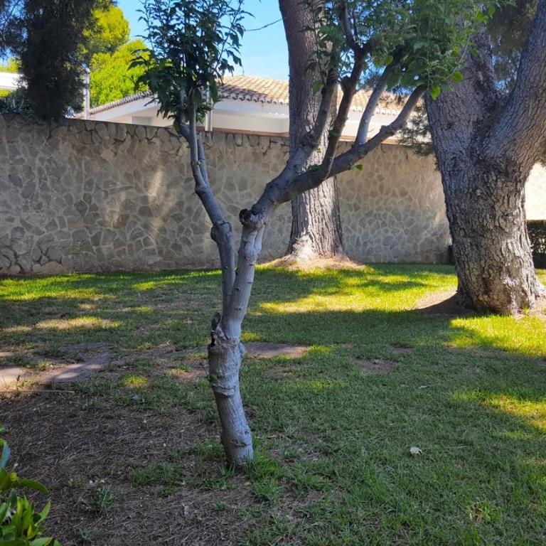 VILLA DEL DUQUE, GANDIA - ( Alquielr solo Familias ) - Five-Bedroom House - 5