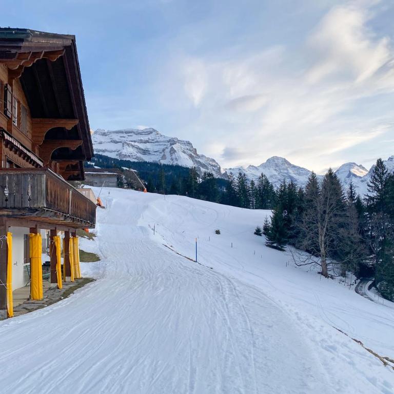 Chalet Irene - Penthouse-Apartment - 16