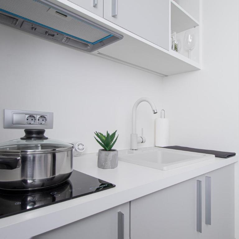 Beys Palace apartments Sarajevo - Deluks Dvokrevetni Studio sa Bračnim Krevetom - 12