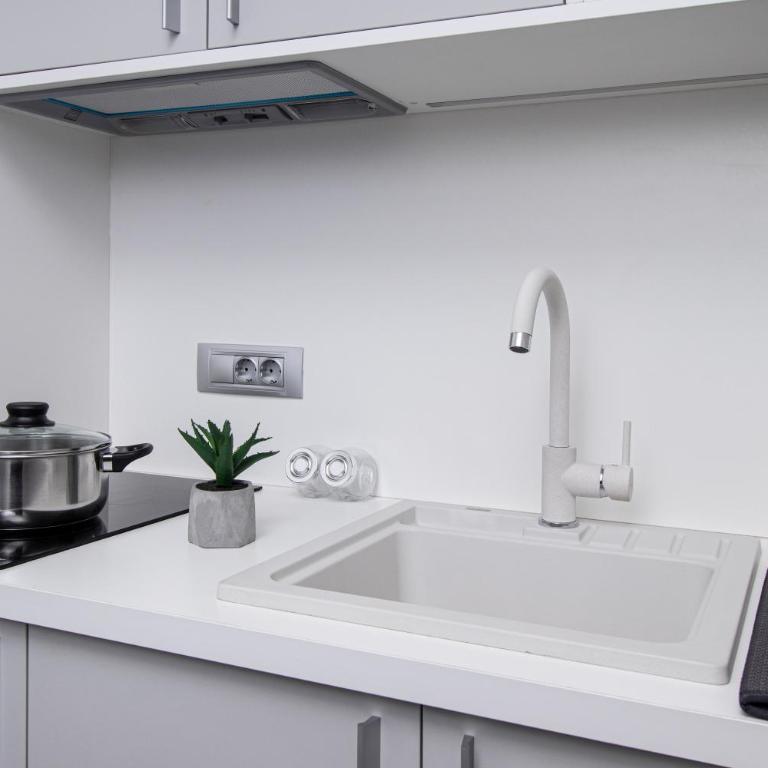 Beys Palace apartments Sarajevo - Deluks Dvokrevetni Studio sa Bračnim Krevetom - 13