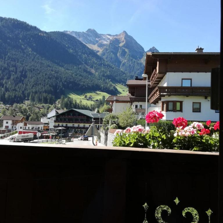 Landhaus Stöckl - Apartment - 1