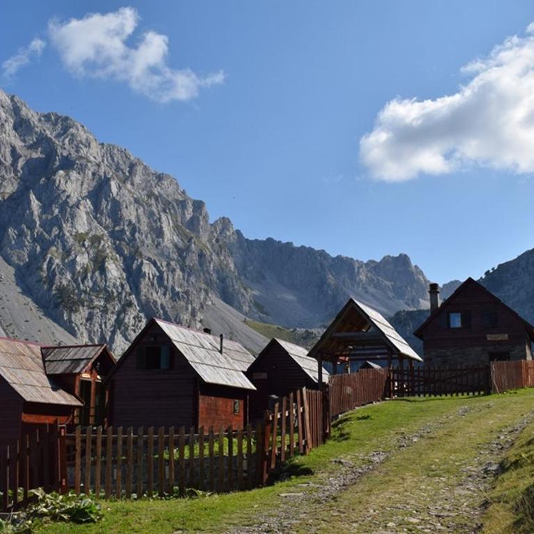 Komovi Eko Katun Martinovica 1750 - Porodični Bungalov - 1