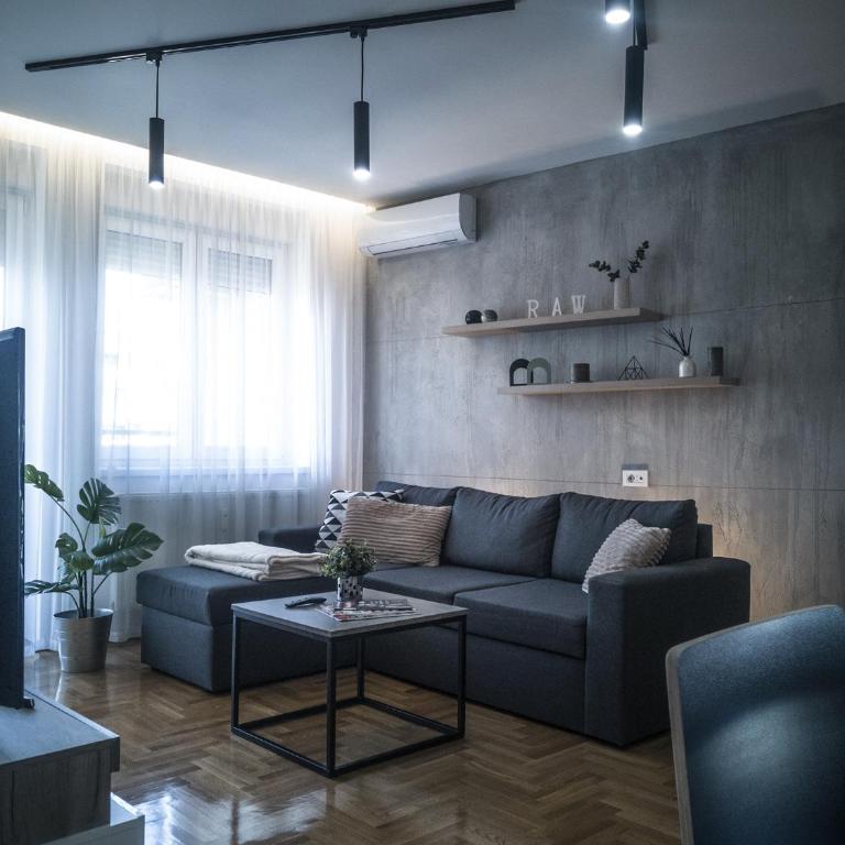 Raw Industrial City Apartment - One-Bedroom Apartment - 1