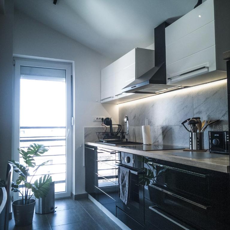 Raw Industrial City Apartment - One-Bedroom Apartment - 3