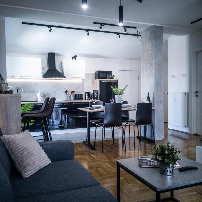 Raw Industrial City Apartment - One-Bedroom Apartment - 4