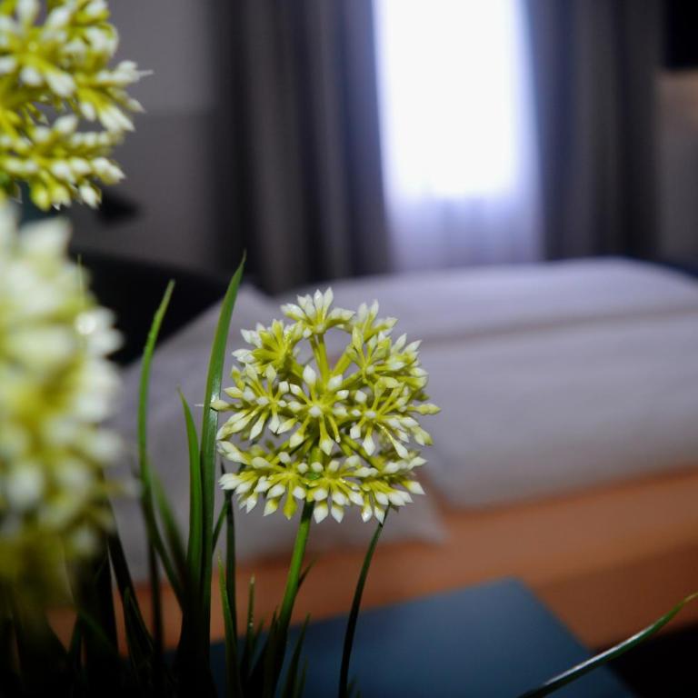 Pension Elisabeth - Rooms & Apartments - Doppelzimmer mit Gemeinschaftsbad - 7