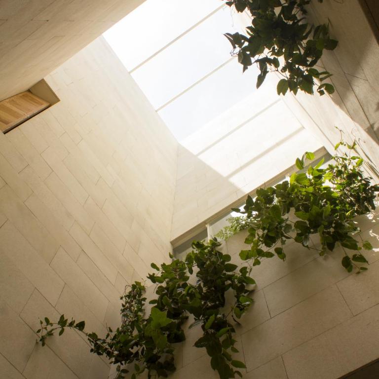 Círculo Mexicano, a Member of Design Hotels - Double Room with Patio - 1